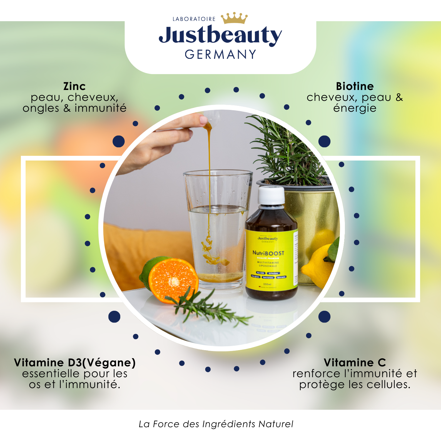 NutriBOOST - MULTIVITAMINE LIPOSOMAL 250ml